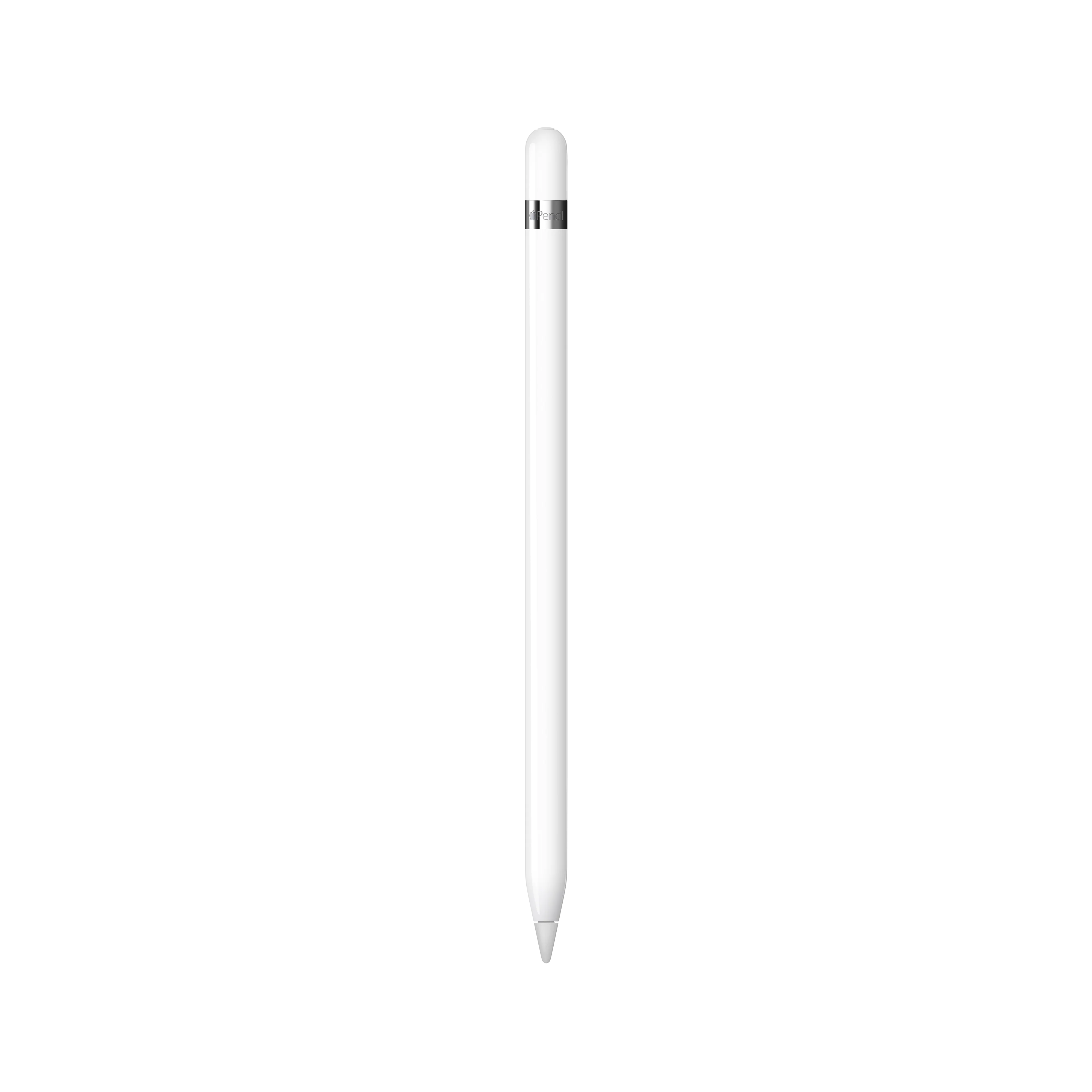 Apple Pencil (1re génération) - Comprend Adaptateur USB-C vers Apple Pencil