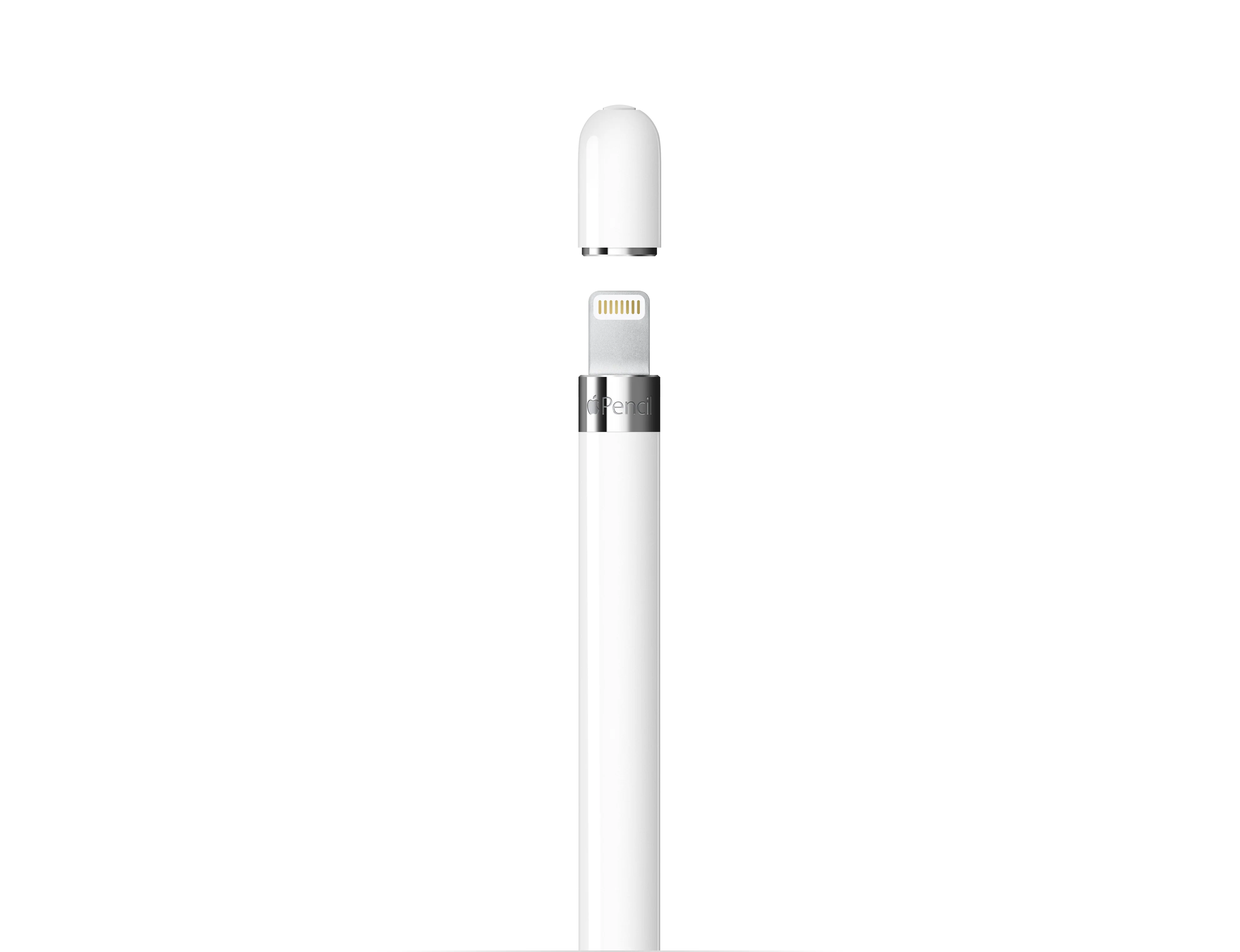 Apple Pencil (1re génération) - Comprend Adaptateur USB-C vers Apple Pencil - Image 3