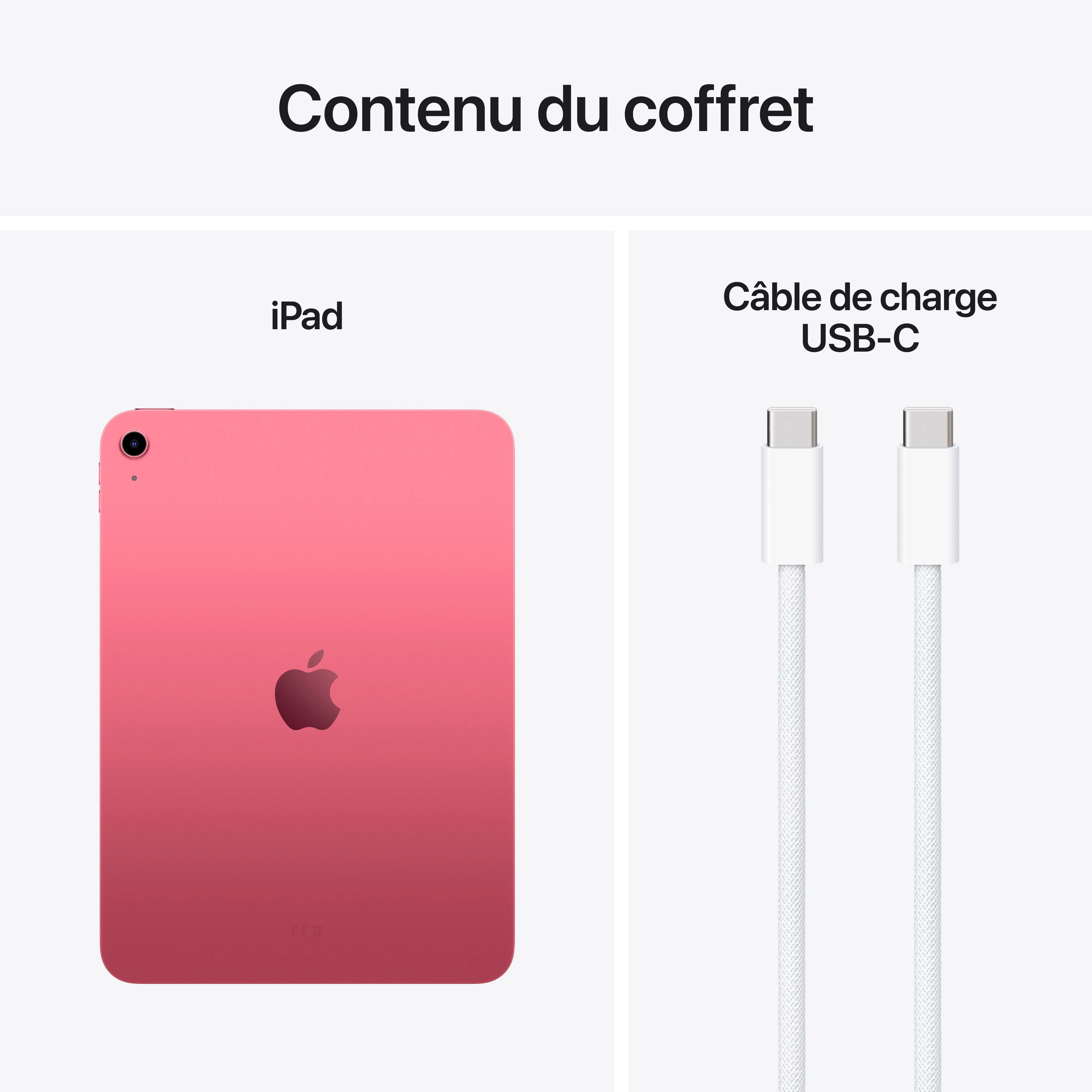 iPad Wi-Fi 128 Go - Rose (A16) - Image 8