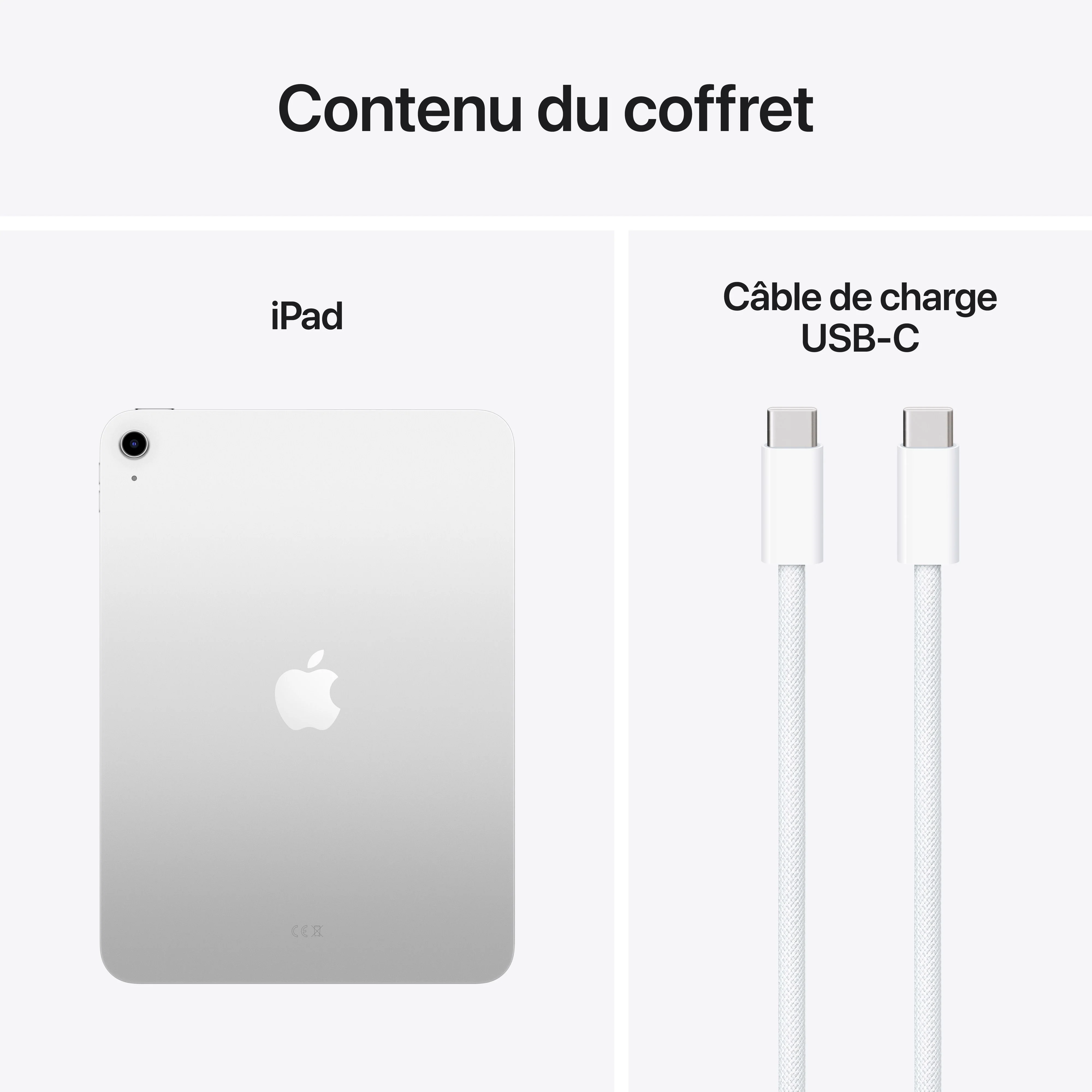 iPad Wi-Fi 256 Go - Argent (A16) - Image 8
