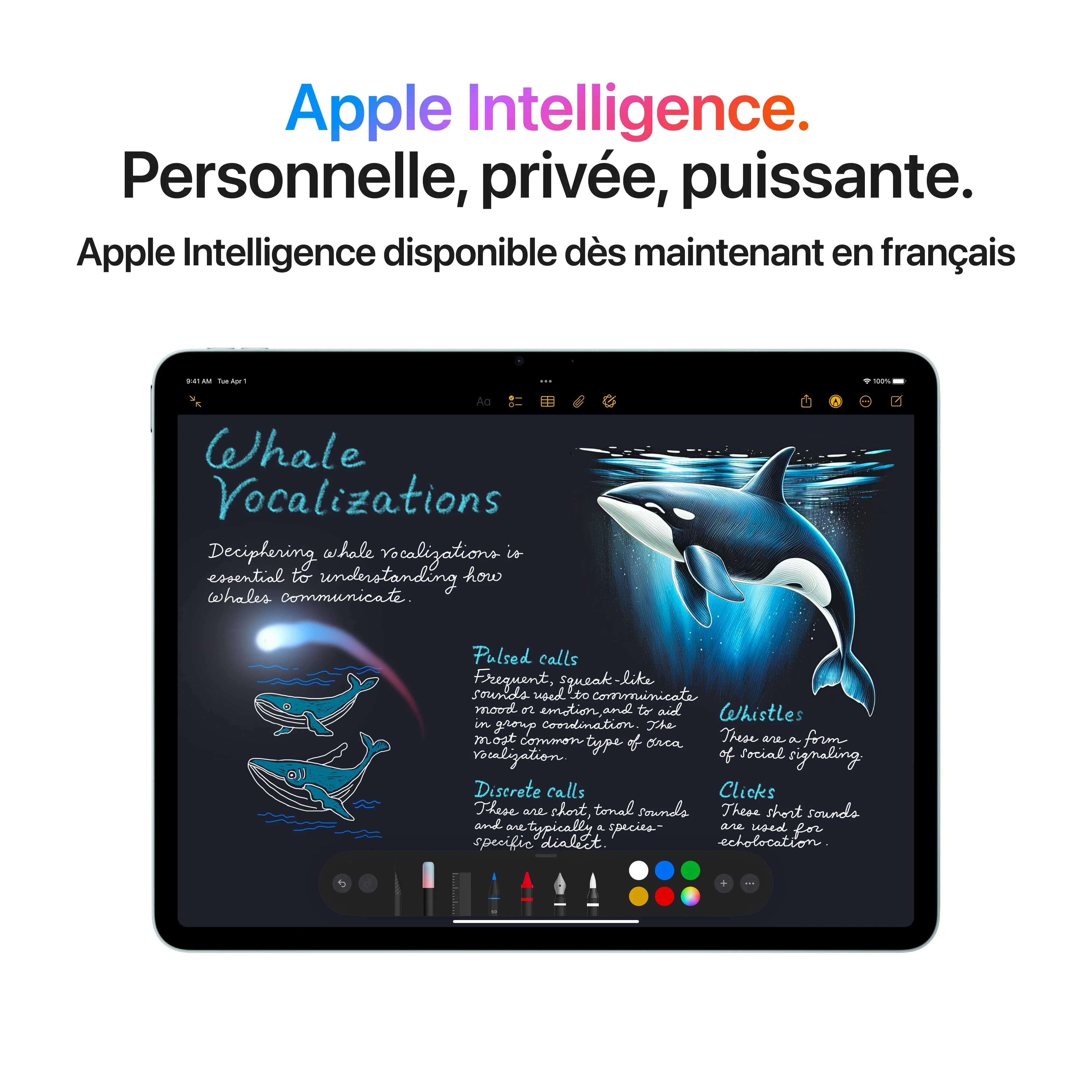 iPad Air 11 pouces Wi-Fi 128 Go - Gris sidéral (M3) - Image 5