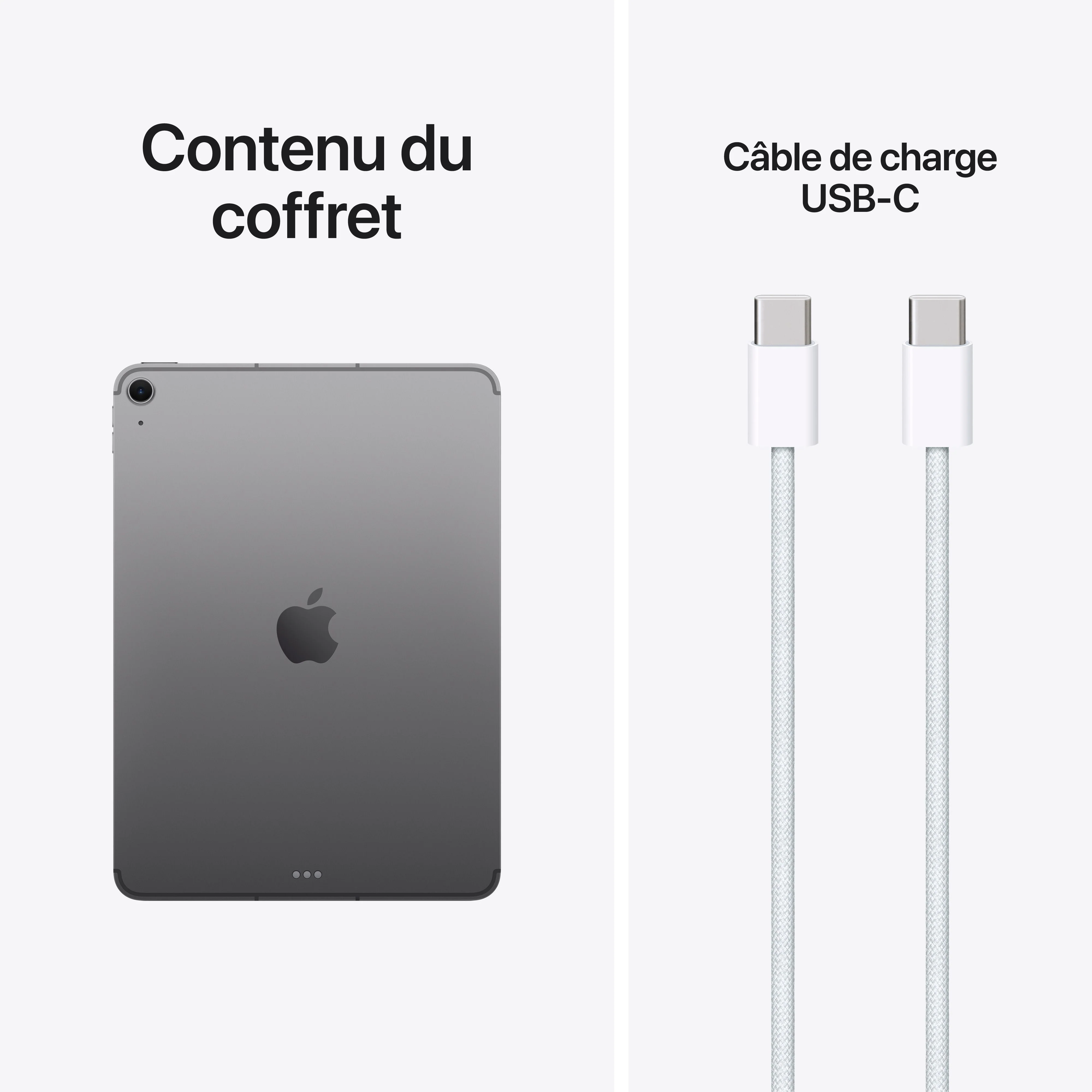 iPad Air 11 pouces Wi-Fi + Cellular 1 To - Gris sidéral (M4) - Image 10