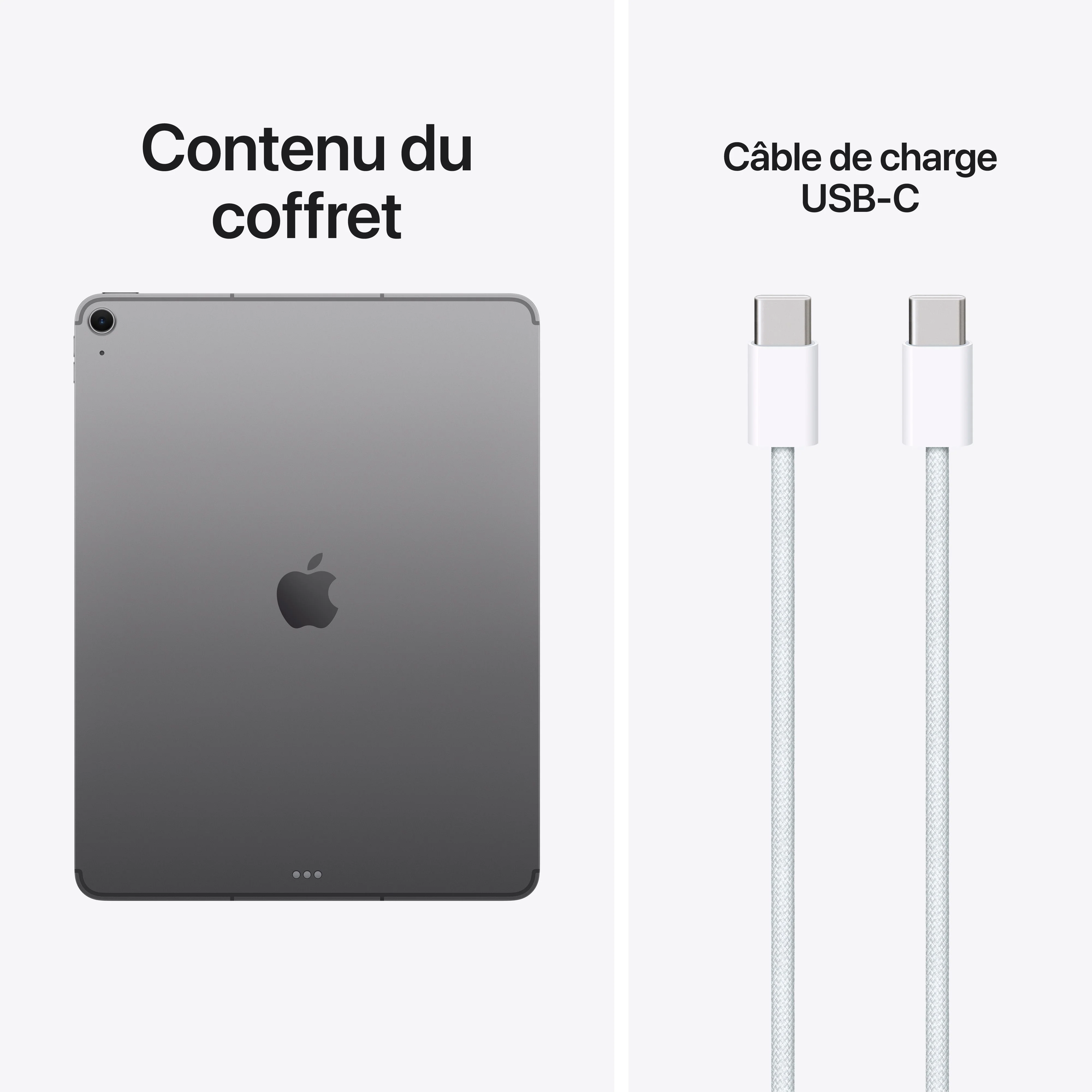 iPad Air 13 pouces Wi-Fi + Cellular 1 To - Gris sidéral (M4) - Image 10