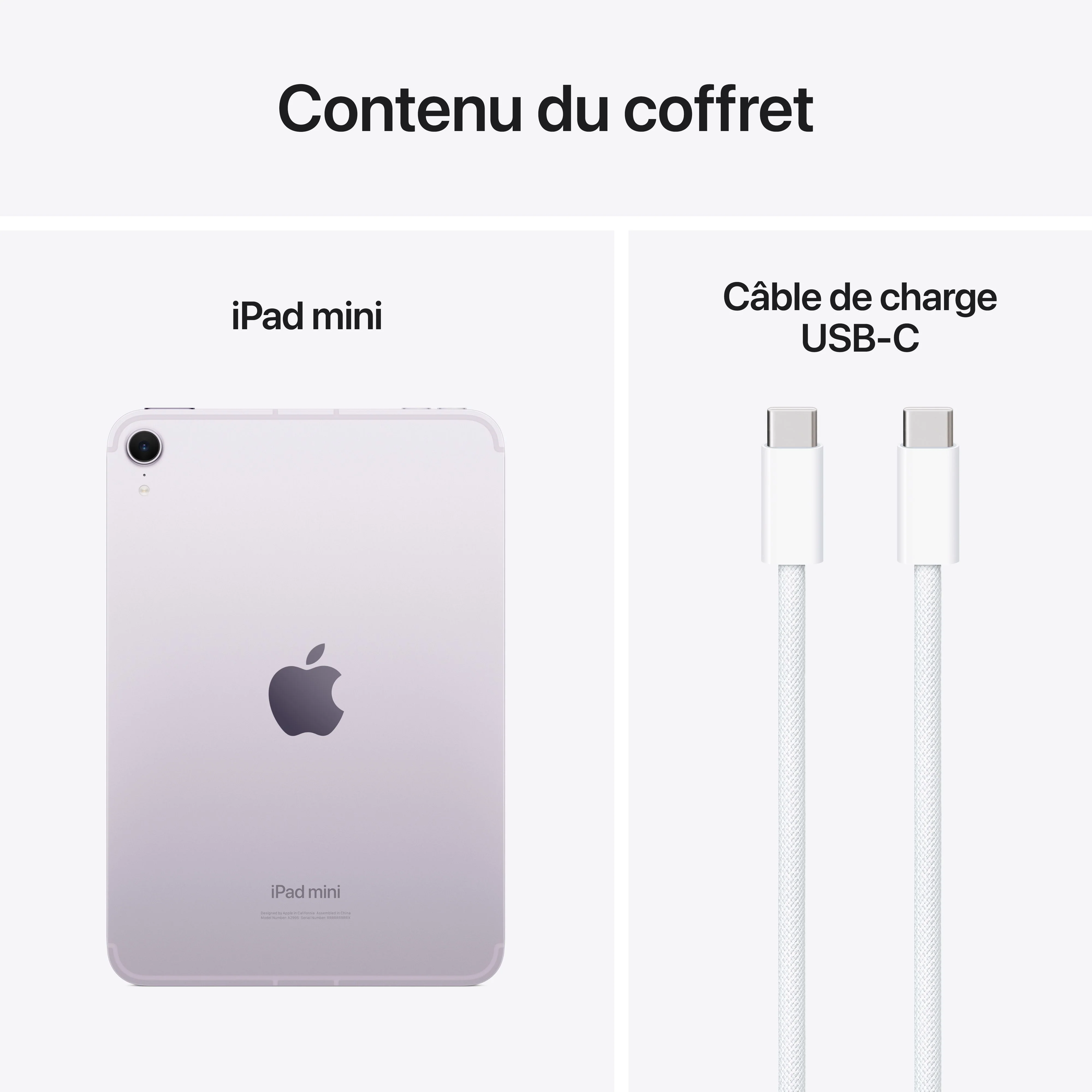 iPad mini Wi-Fi + Cellular 128 Go - Mauve (A17 Pro) - Image 10