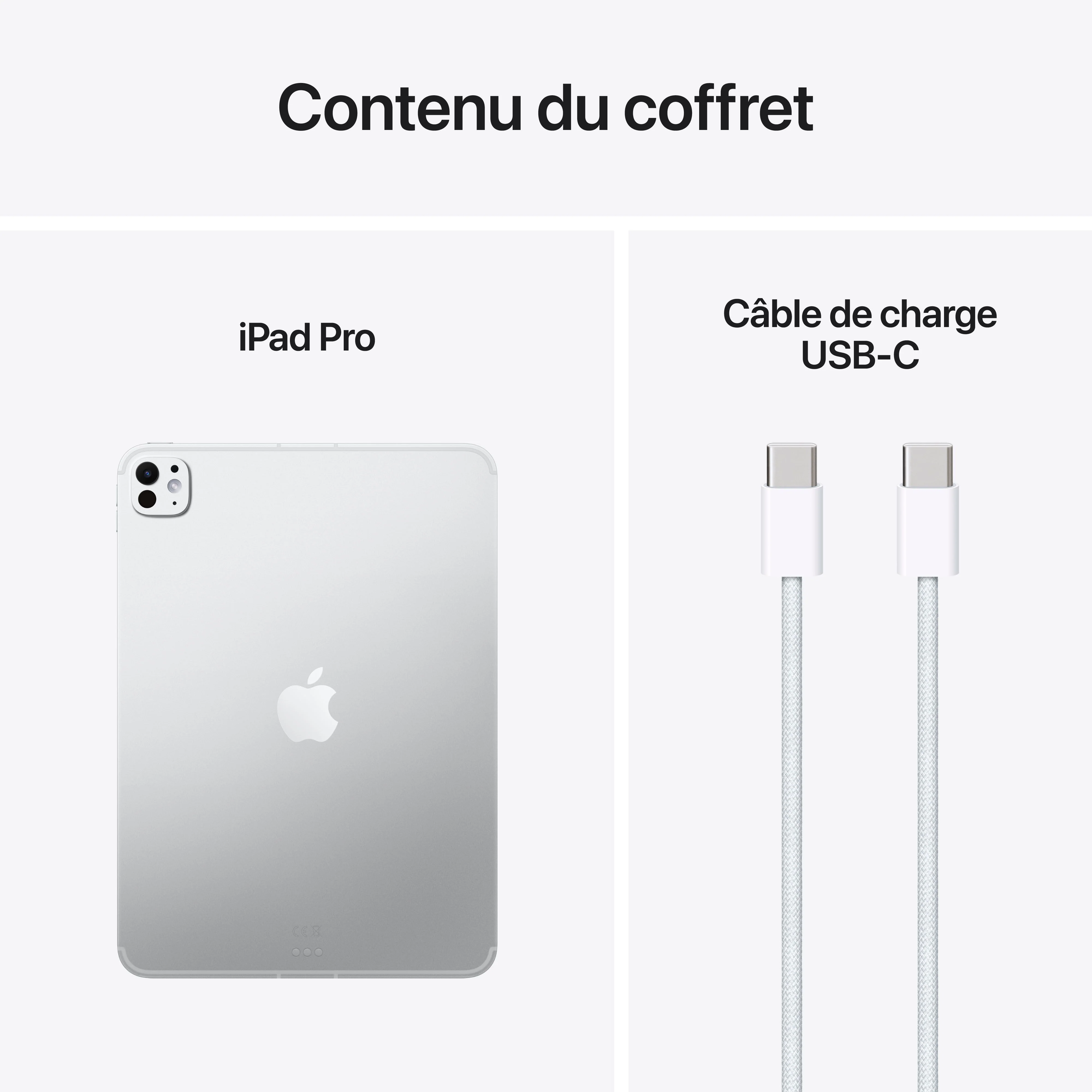 iPad Pro 11 pouces Wi-Fi + Cellular 2 To Verre standard - Argent (M5) - Image 9
