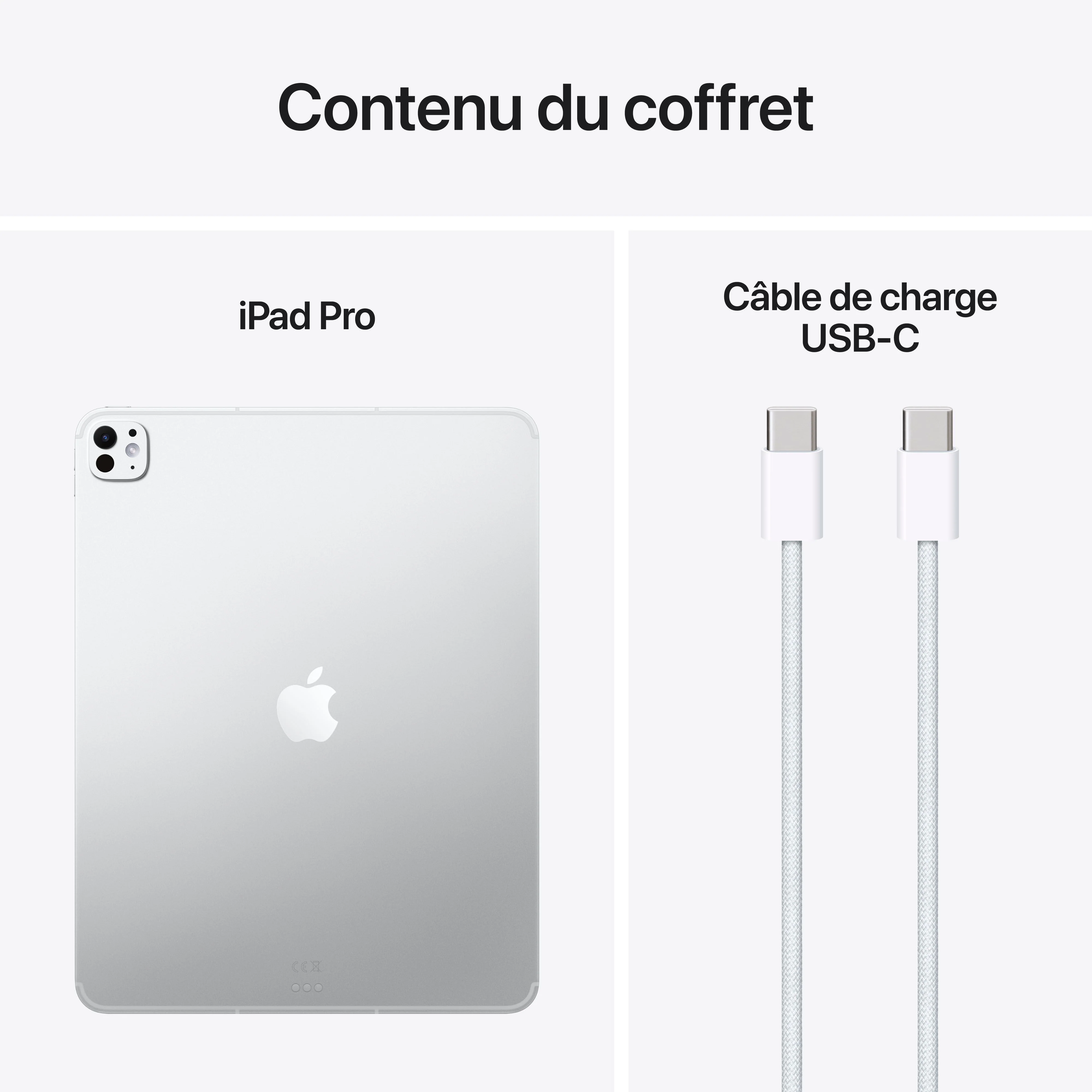 iPad Pro 13 pouces Wi-Fi + Cellular 2 To Verre nano-texturé - Argent (M5) - Image 9