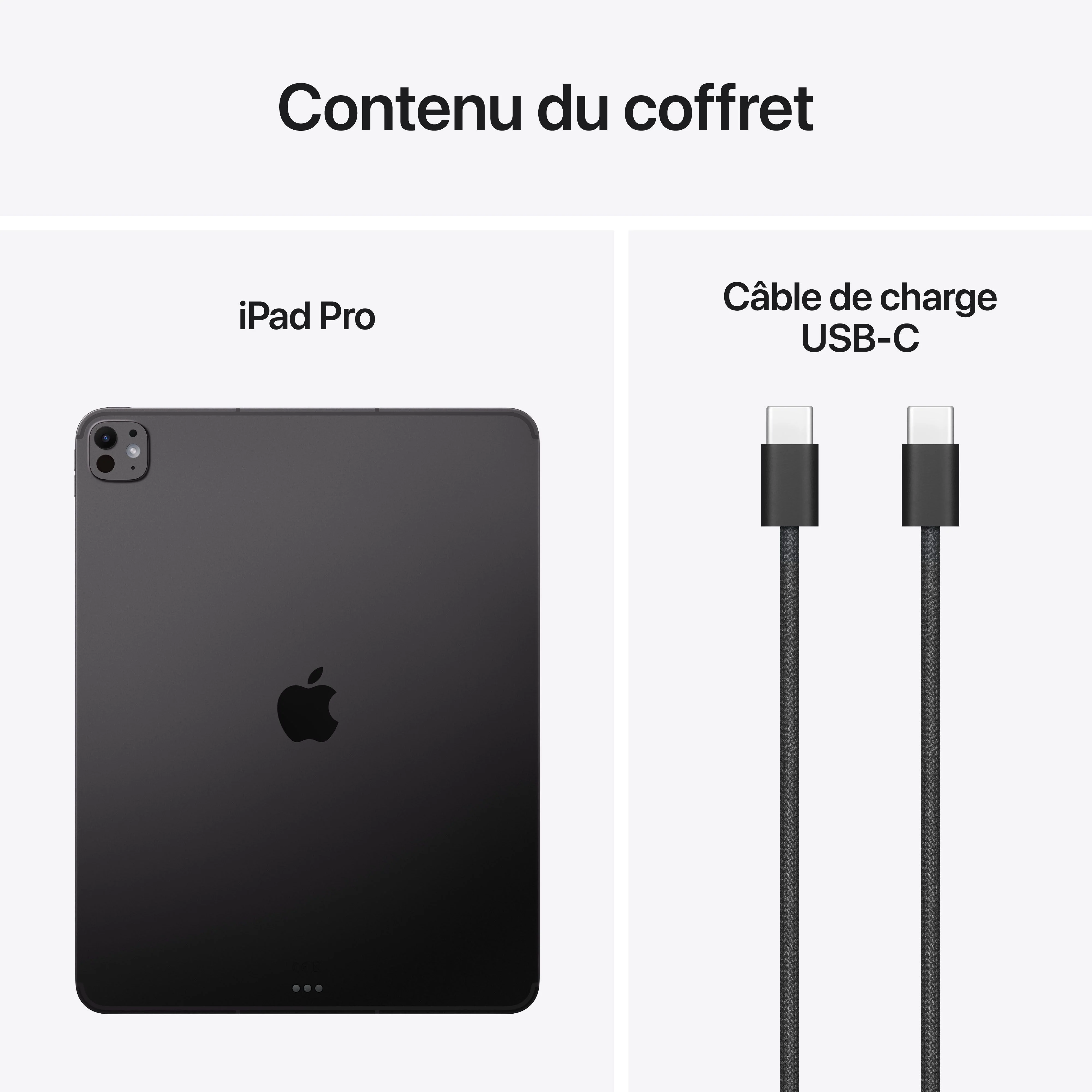 iPad Pro 13 pouces Wi-Fi + Cellular 2 To Verre nano-texturé - Noir sidéral (M5) - Image 9