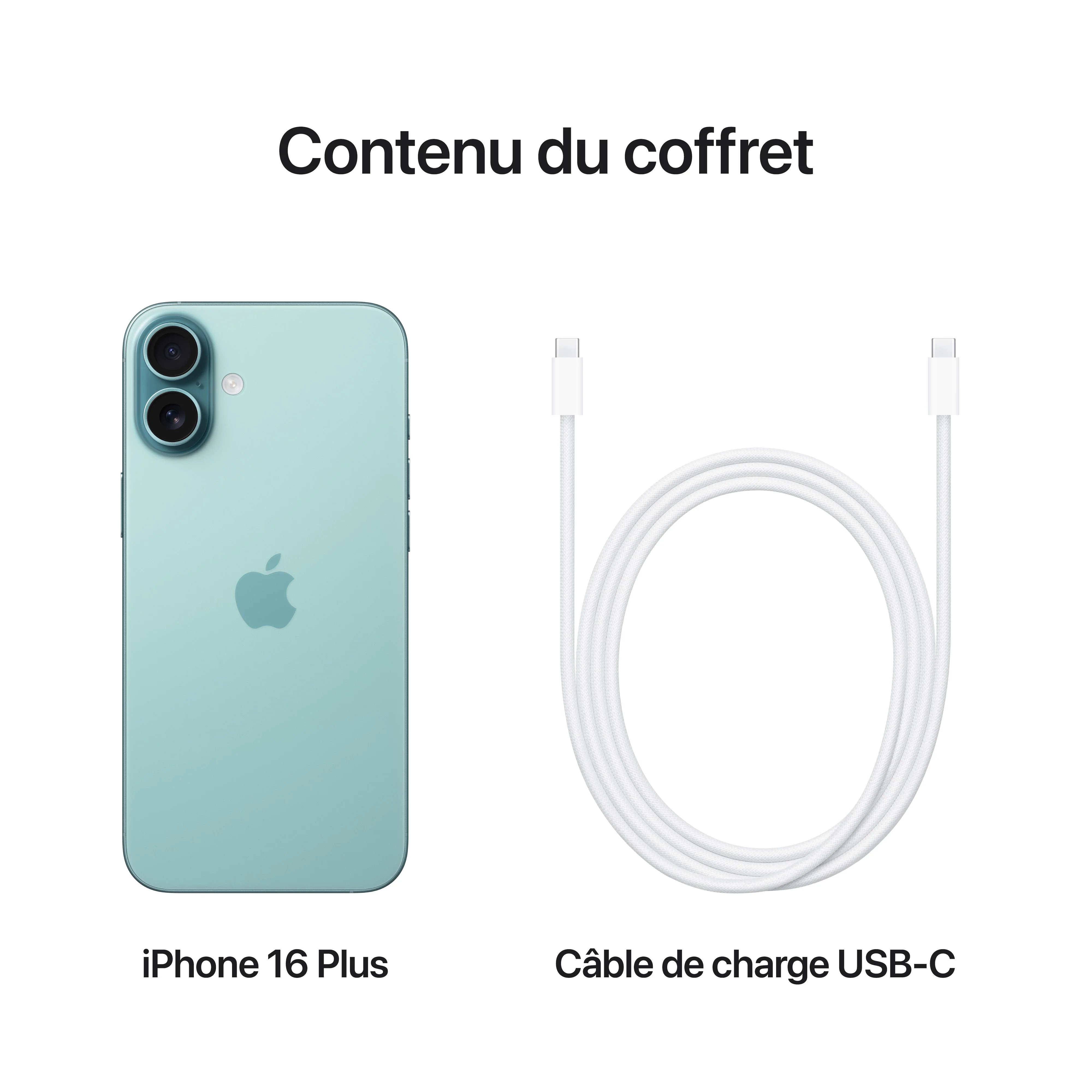 iPhone 16 Plus 256 Go Cyan - Image 9