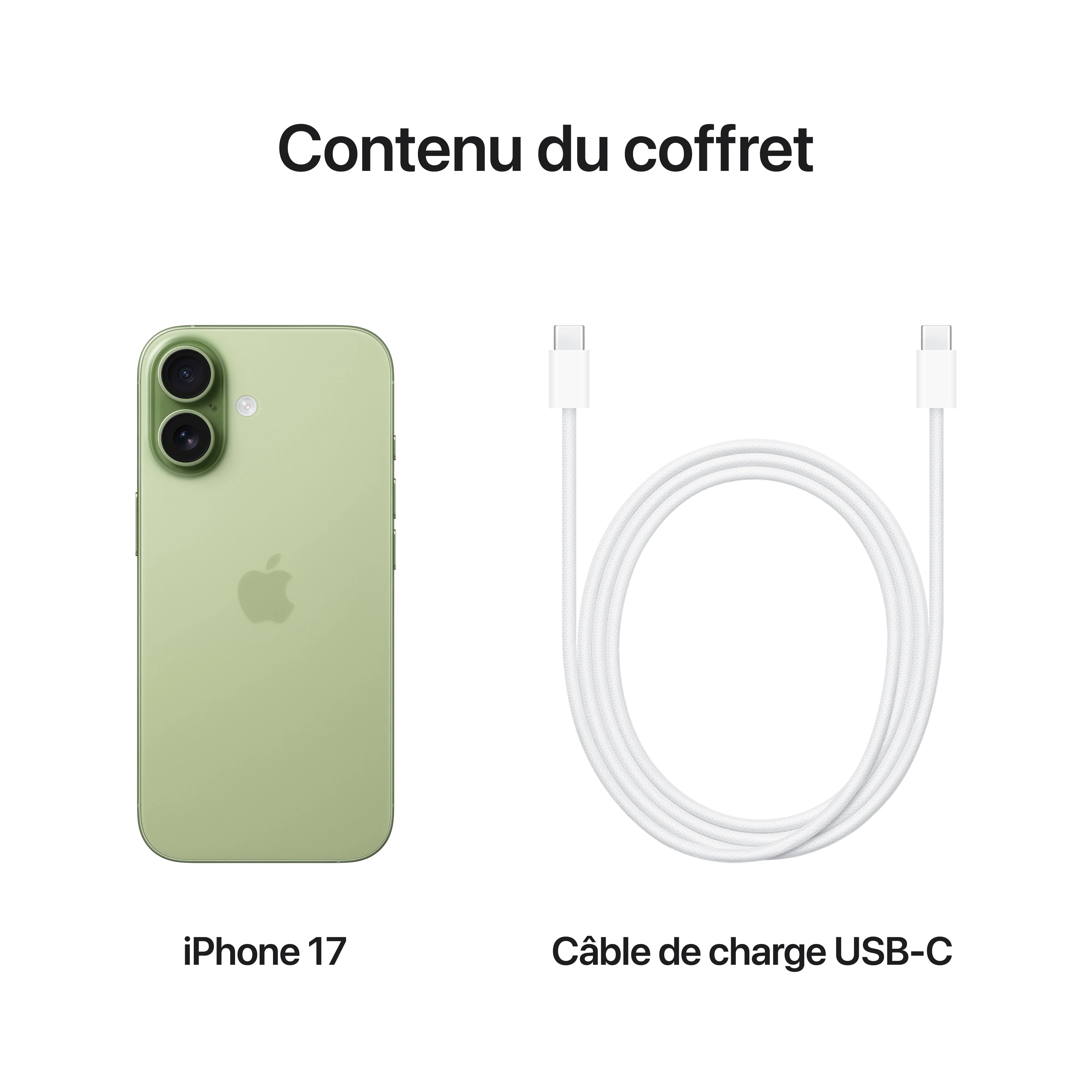 iPhone 17 256 Go Sauge - Image 8