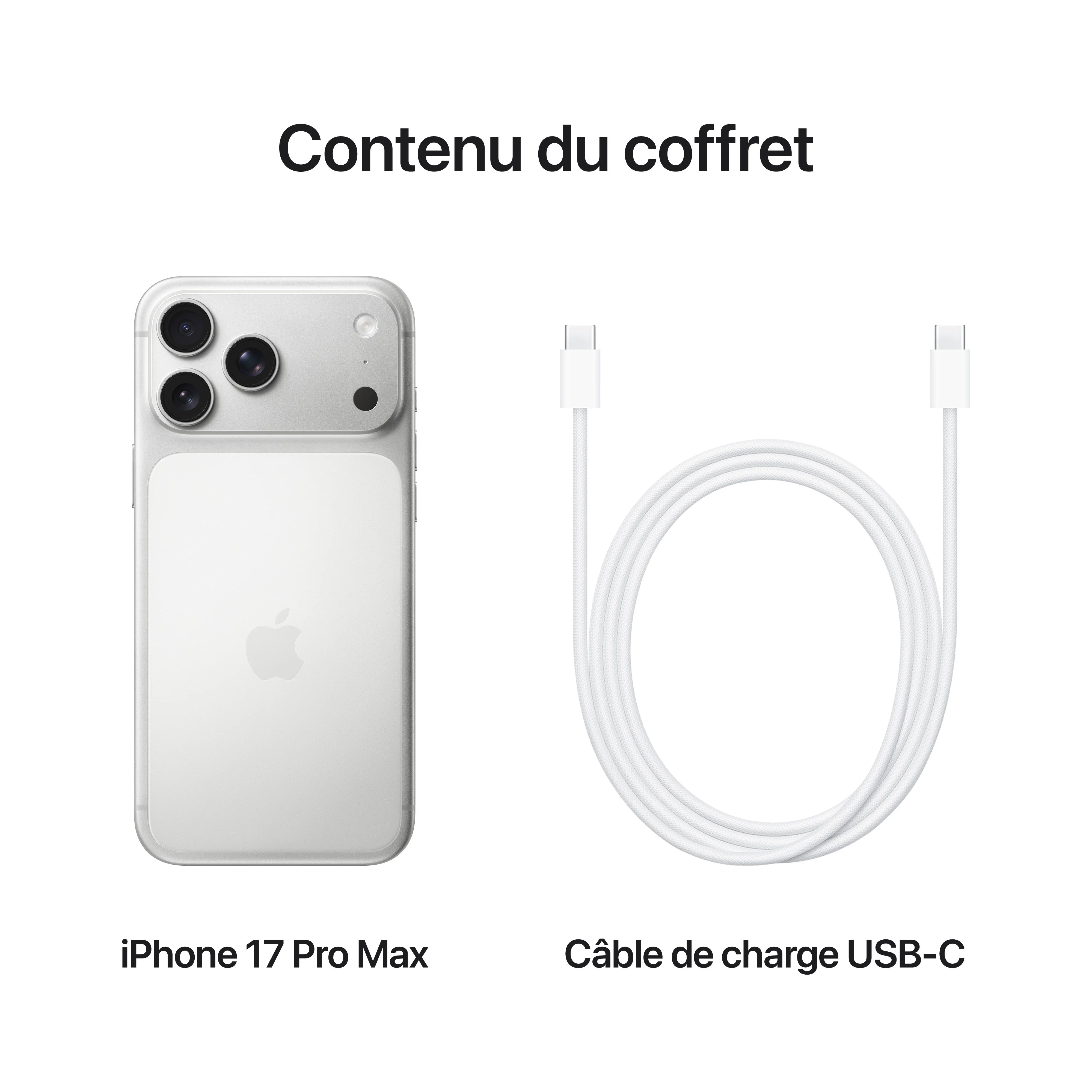 iPhone 17 Pro Max 1 To Argent - Image 8