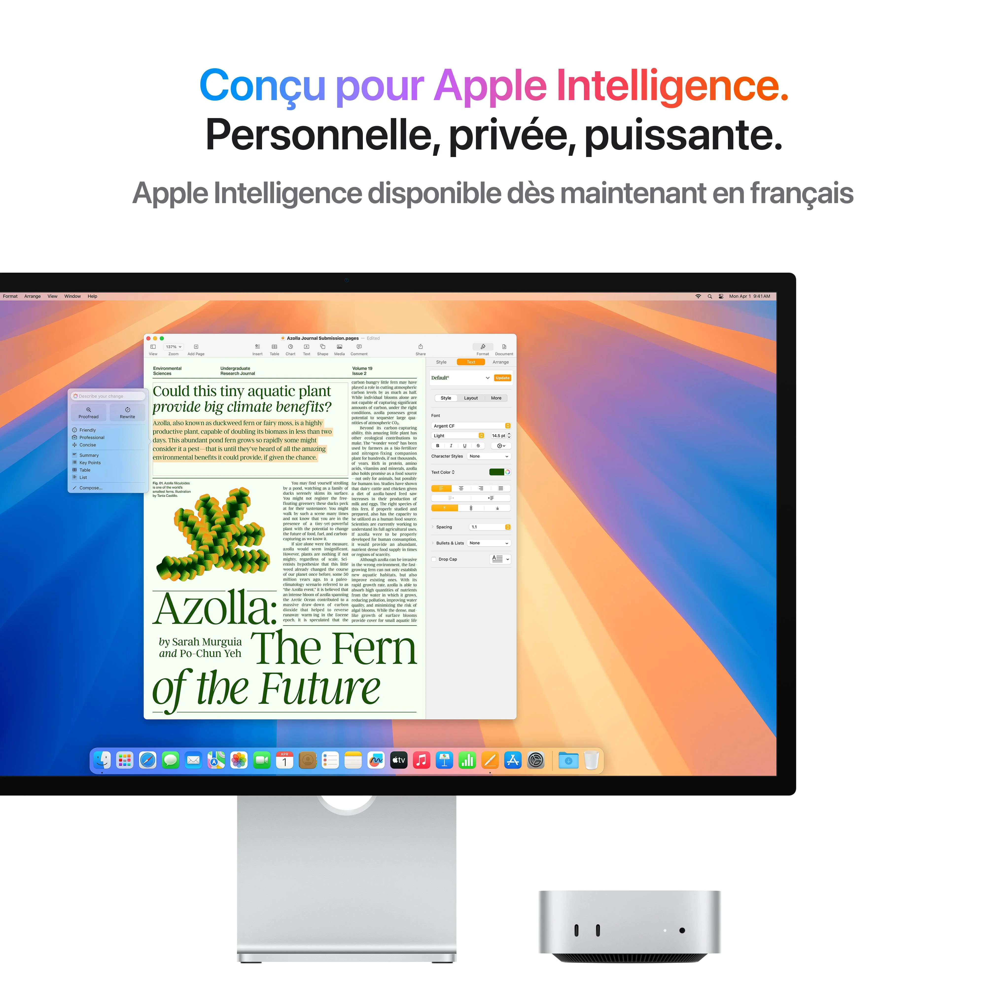 Mac mini: Puce Apple M4 avec CPU 10 cœurs et GPU 10 cœurs, 512 Go SSD - Argent - Image 4