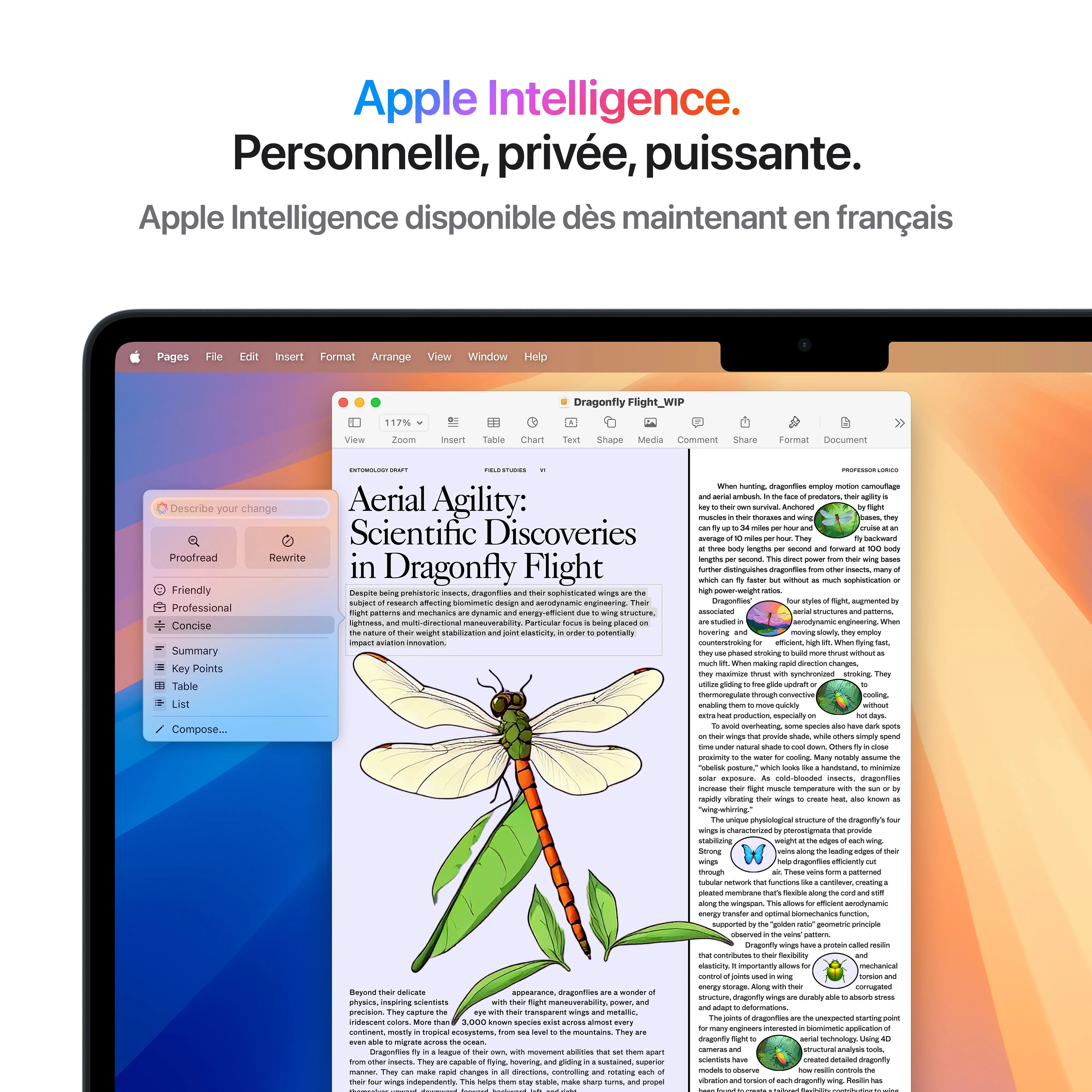MacBook Air 13 pouces: Puce Apple M4 avec CPU 10 cœurs et GPU 10 cœurs, 512 Go SSD - Lumière stellaire - Image 6